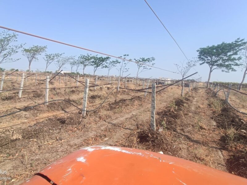 Tata Hitachi Mini Excavator