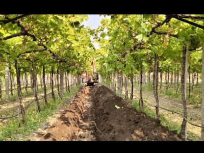 Tata Hitachi Mini Excavator